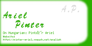 ariel pinter business card